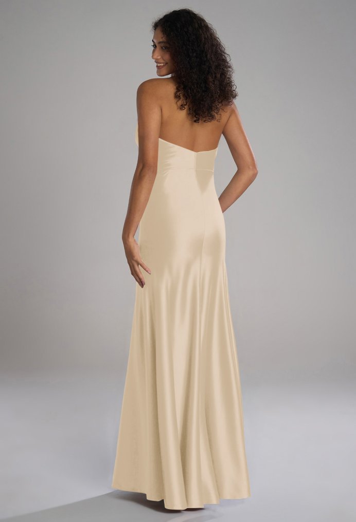 AW Devon Champagne  Long Bridesmaid Dresses